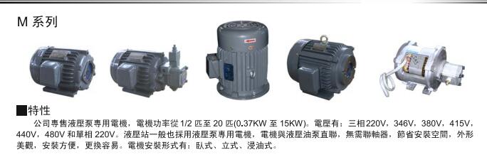 臺(tái)灣FUOU福友液壓電機(jī)